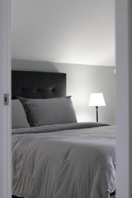 Unique Modern Luxury 2 Bedroom Apartment Rental Chapleau Eksteriør billede