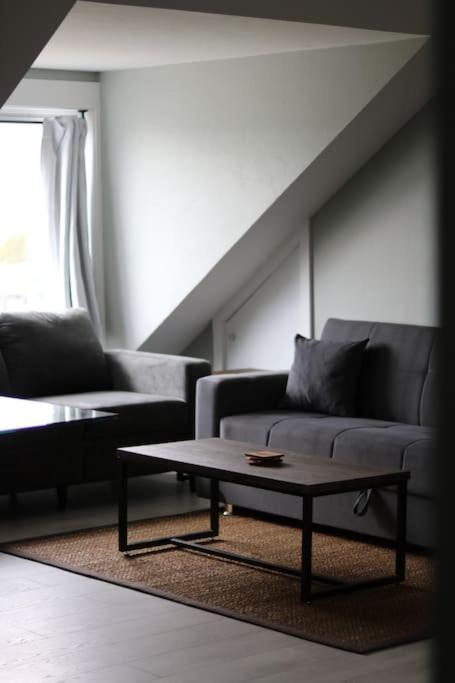 Unique Modern Luxury 2 Bedroom Apartment Rental Chapleau Eksteriør billede